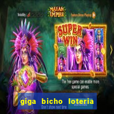 giga bicho loteria dos sonhos