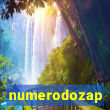 numerodozap