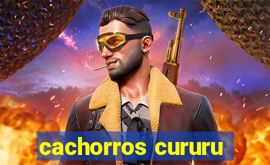 cachorros cururu