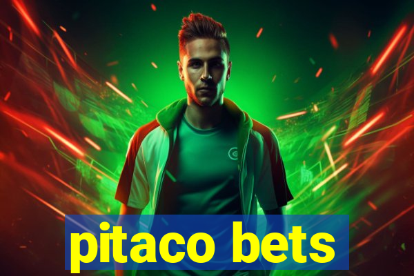 pitaco bets