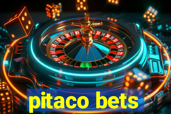 pitaco bets