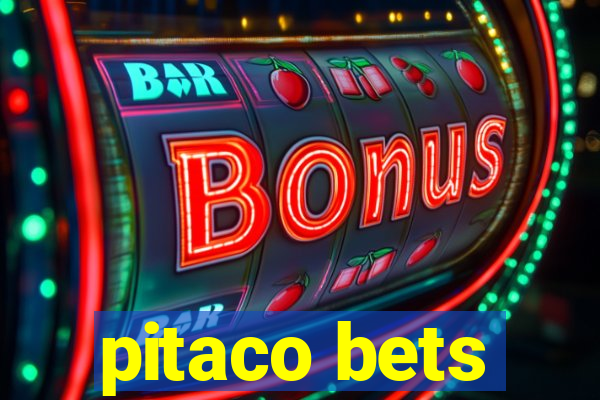 pitaco bets