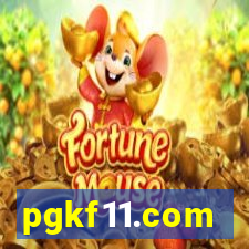 pgkf11.com