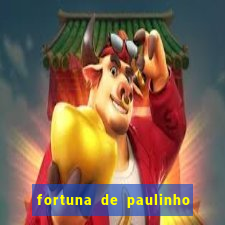 fortuna de paulinho roupa nova