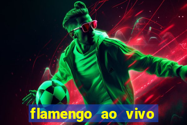 flamengo ao vivo multi tv