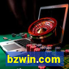 bzwin.com