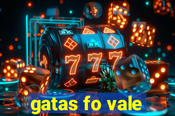 gatas fo vale