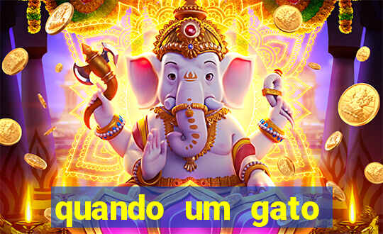 quando um gato aparece do nada significado espiritual