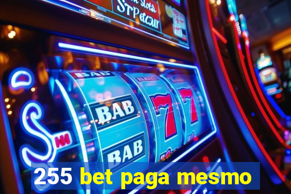 255 bet paga mesmo