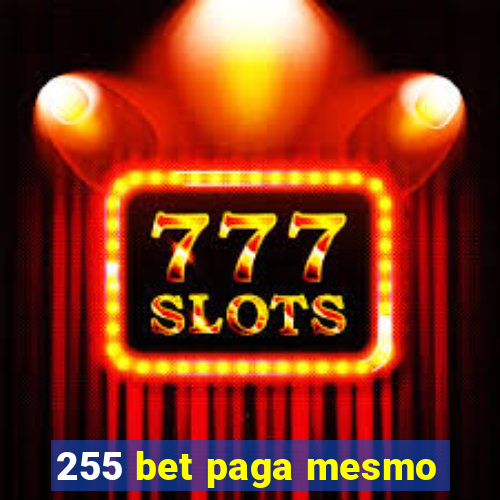 255 bet paga mesmo