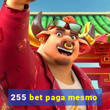 255 bet paga mesmo