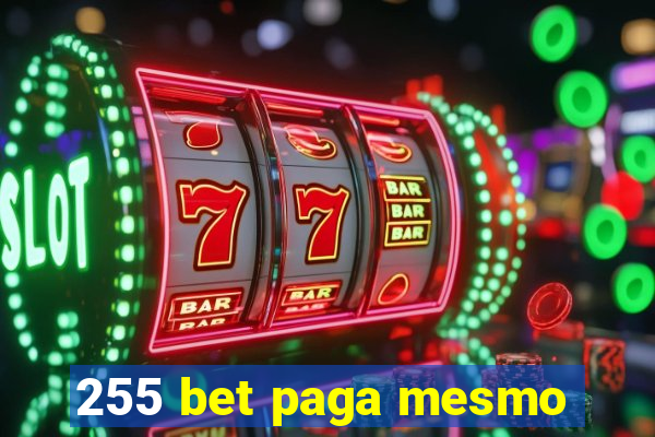 255 bet paga mesmo