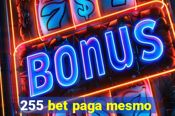 255 bet paga mesmo