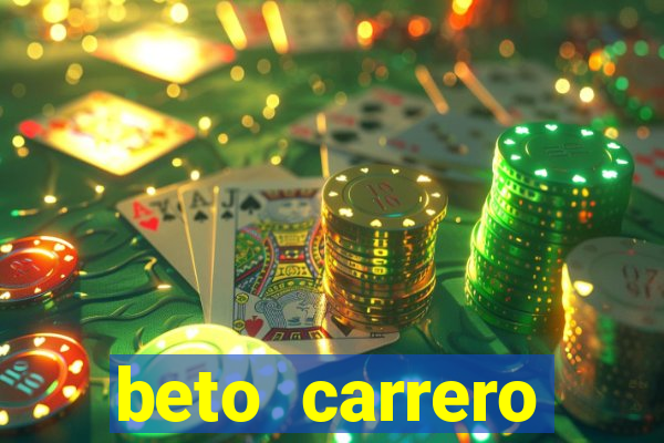 beto carrero cidades proximas