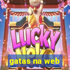 gatas na web