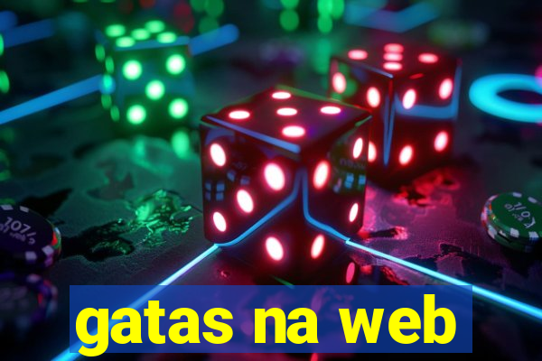 gatas na web