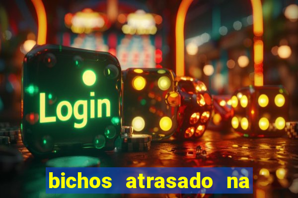 bichos atrasado na loteria dos sonhos