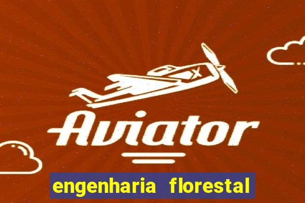 engenharia florestal ead cruzeiro do sul