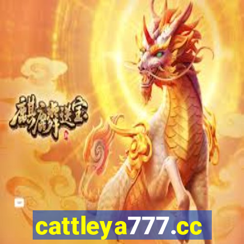 cattleya777.cc