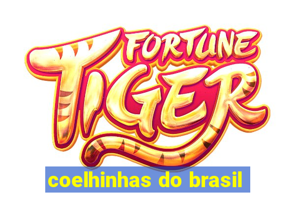 coelhinhas do brasil