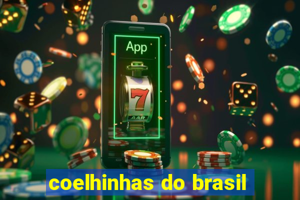 coelhinhas do brasil