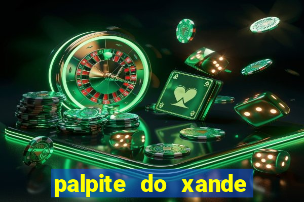 palpite do xande de hoje