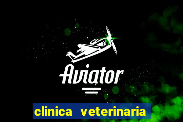 clinica veterinaria cuidar betim