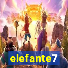 elefante7