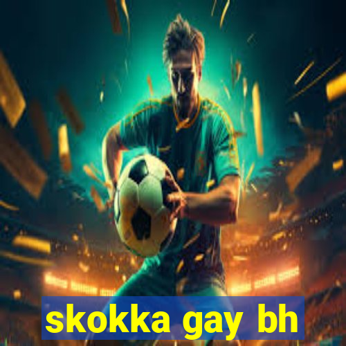 skokka gay bh