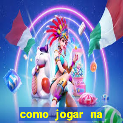 como jogar na lotinha do jogo do bicho