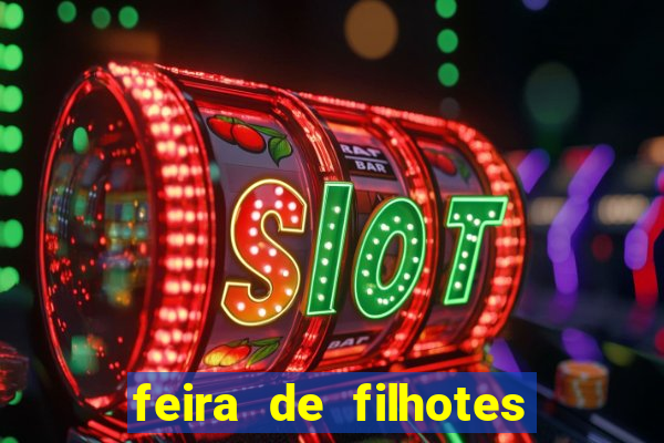 feira de filhotes porto alegre