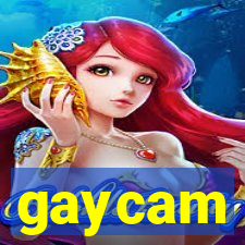 gaycam