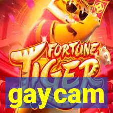 gaycam