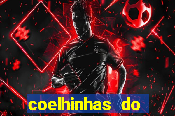 coelhinhas do brasil recife