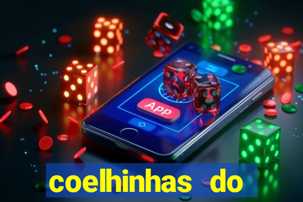 coelhinhas do brasil recife