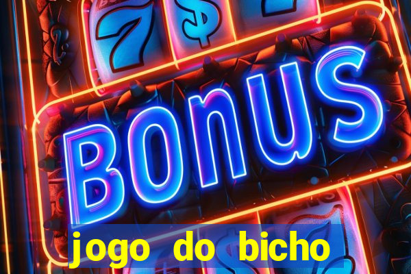 jogo do bicho crash bingo