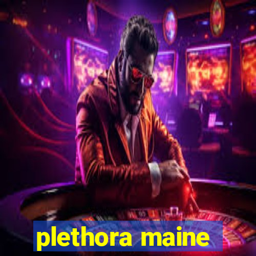 plethora maine