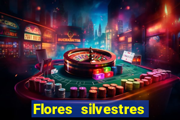 Flores silvestres brasileiras 25