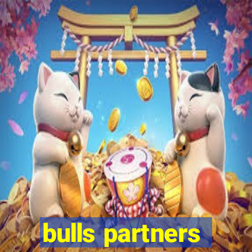 bulls partners