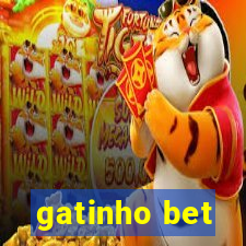 gatinho bet