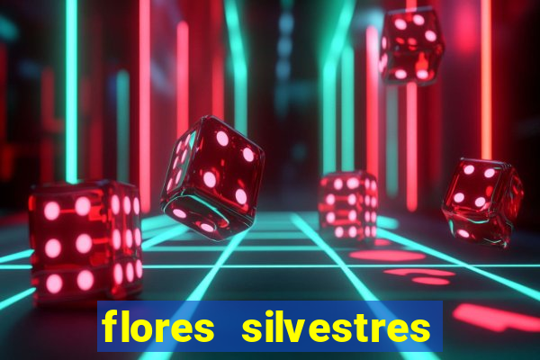 flores silvestres desbravadores desbravadores 25 flores silvestres e seus nomes