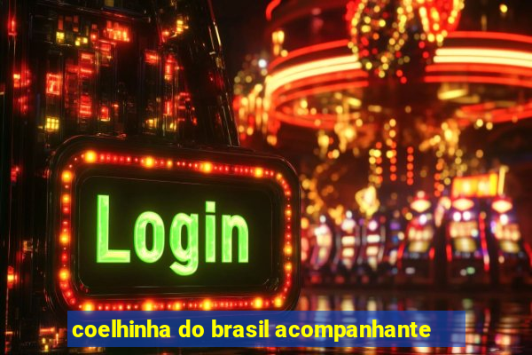 coelhinha do brasil acompanhante