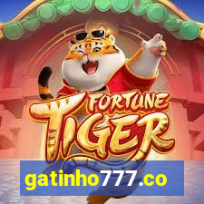 gatinho777.co