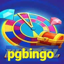 pgbingo