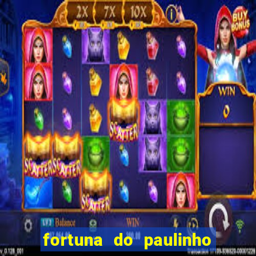 fortuna do paulinho do roupa nova