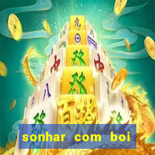 sonhar com boi jogo do bicho