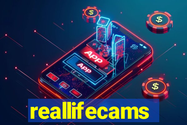 reallifecams