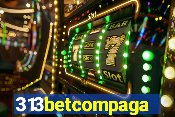 313betcompaga