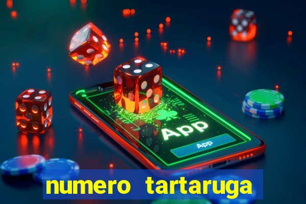 numero tartaruga jogo do bicho