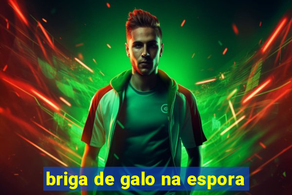 briga de galo na espora